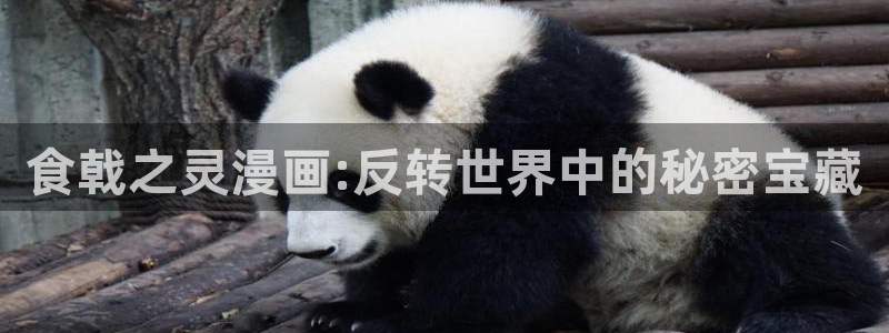 喵趣漫画1.0.9：食戟之灵漫画:反转世界中的秘密宝藏