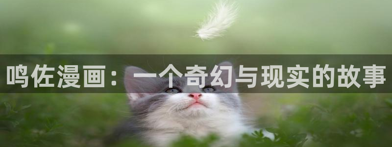 喵趣漫画免费版下载入口：鸣佐漫画：一个奇幻与现实的故事