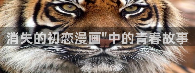 喵趣漫画官网：消失的初恋漫画\