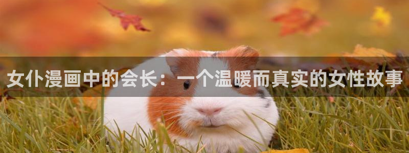 《喵趣漫画》正版下载：女仆漫画中的会长：一个温暖而真实的女性故事